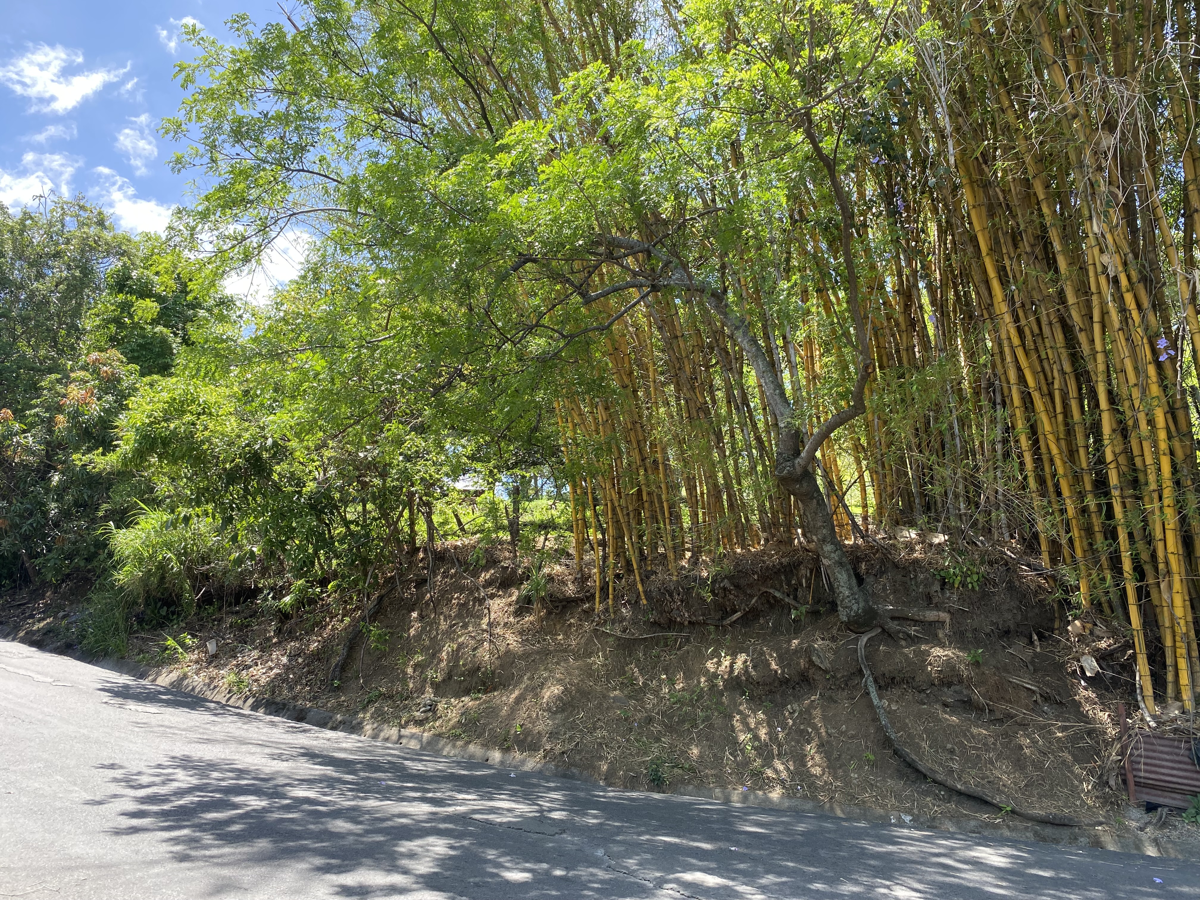 Quiet street — secondary access